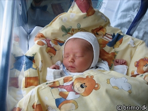 Miniature af billede nummer 48