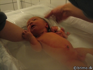 Miniature af billede nummer 49