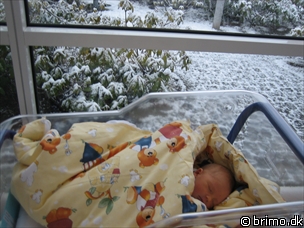 Miniature af billede nummer 50