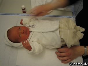 Miniature af billede nummer 53