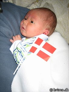 Miniature af billede nummer 58