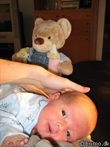 Miniature af billede nummer 59