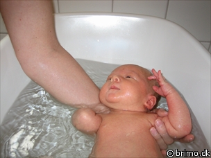 Miniature af billede nummer 61