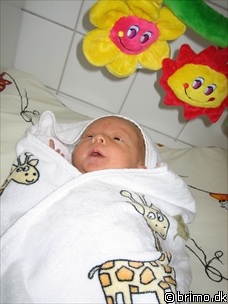 Miniature af billede nummer 62