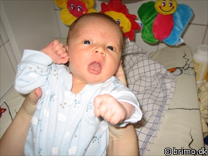 Miniature af billede nummer 63