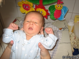 Miniature af billede nummer 65