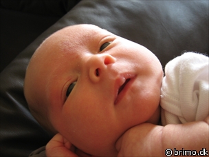 Miniature af billede nummer 66