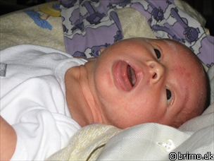 Miniature af billede nummer 70