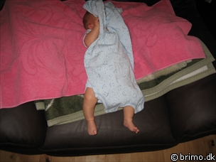 Miniature af billede nummer 73