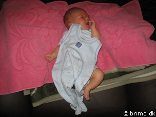 Miniature af billede nummer 102