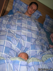 Miniature af billede nummer 12