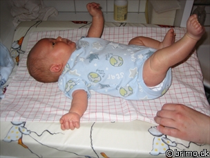 Miniature af billede nummer 13