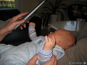 Miniature af billede nummer 20