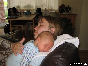 Miniature af billede nummer 22