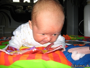 Miniature af billede nummer 26