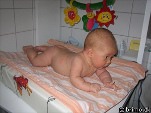 Miniature af billede nummer 81