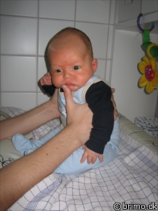 Miniature af billede nummer 82