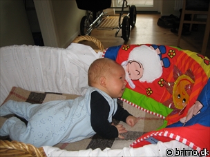 Miniature af billede nummer 85