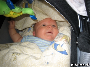 Miniature af billede nummer 108