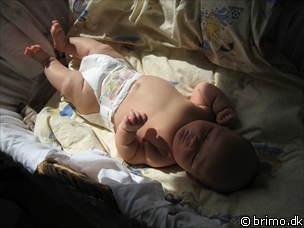 Miniature af billede nummer 110