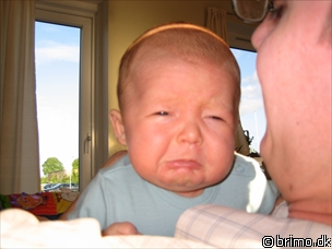 Miniature af billede nummer 111