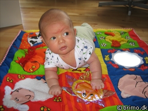 Miniature af billede nummer 115