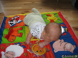 Miniature af billede nummer 116