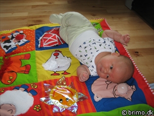 Miniature af billede nummer 117