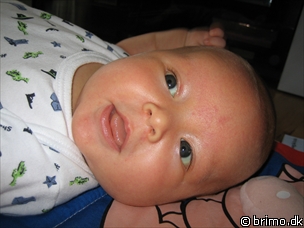 Miniature af billede nummer 119