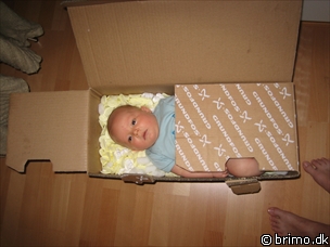 Miniature af billede nummer 123