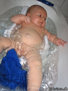 Miniature af billede nummer 124