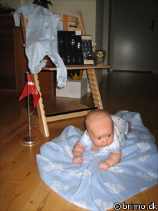 Miniature af billede nummer 138