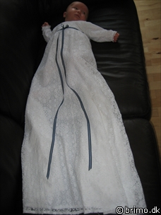 Miniature af billede nummer 139