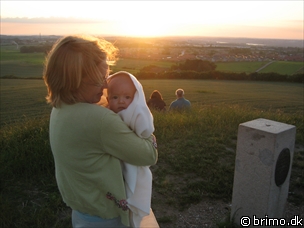 Miniature af billede nummer 146