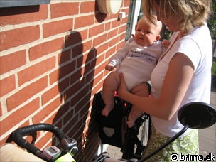 Miniature af billede nummer 149