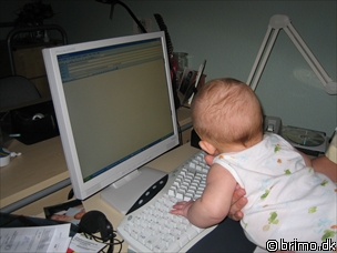 Miniature af billede nummer 151