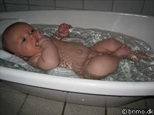 Miniature af billede nummer 162