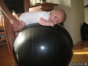 Miniature af billede nummer 174