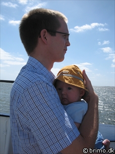 Miniature af billede nummer 198