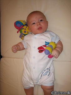 Miniature af billede nummer 200