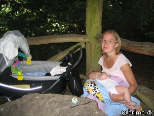 Miniature af billede nummer 207