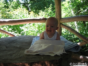 Miniature af billede nummer 209