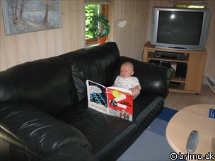 Miniature af billede nummer 210