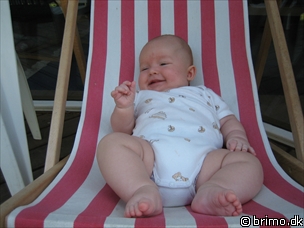 Miniature af billede nummer 211