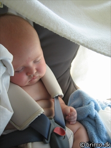 Miniature af billede nummer 213