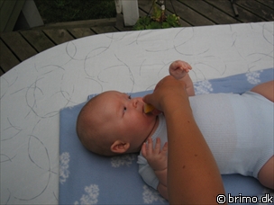 Miniature af billede nummer 215