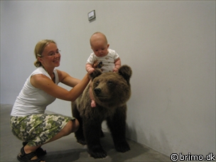 Miniature af billede nummer 217