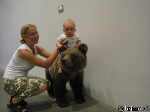 Miniature af billede nummer 218