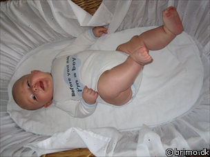 Miniature af billede nummer 225