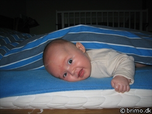 Miniature af billede nummer 227